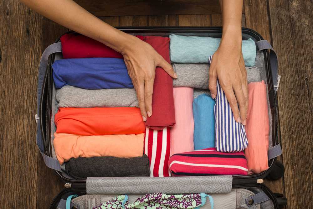 Packing Cerdas